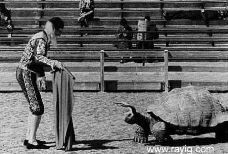 ........................